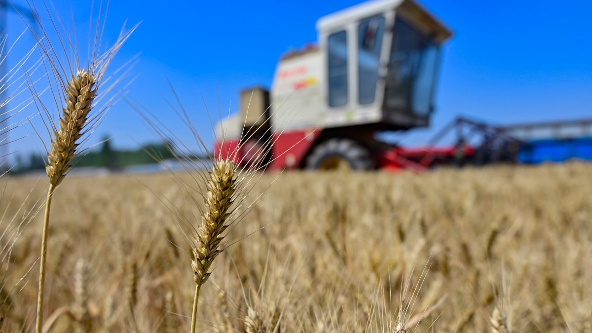 China's the top importer of Ukrainian grain, and could save the Black Sea deal - Vimarsana News