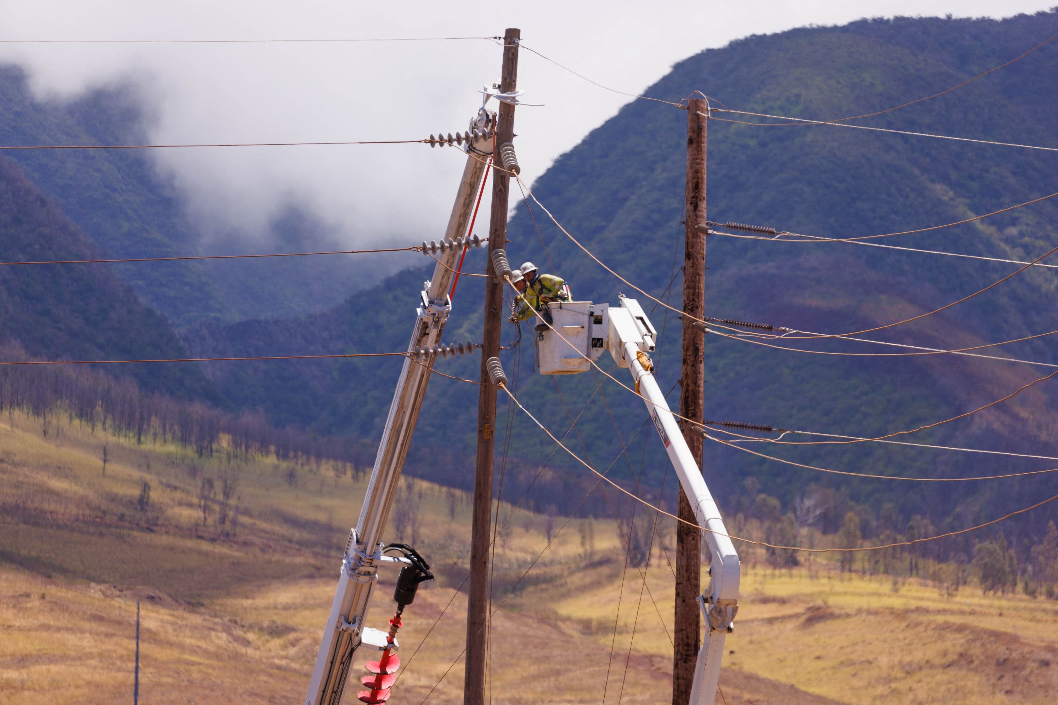 Electric utilities face billions in wildfire liability with aging power lines risking another catastrophe - Vimarsana News