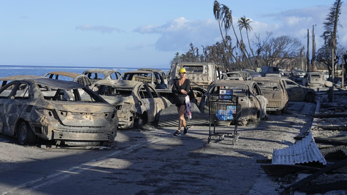 Maui wildfire victims receive help from Paradise fire survivors – NBC 7 San Diego - Vimarsana News