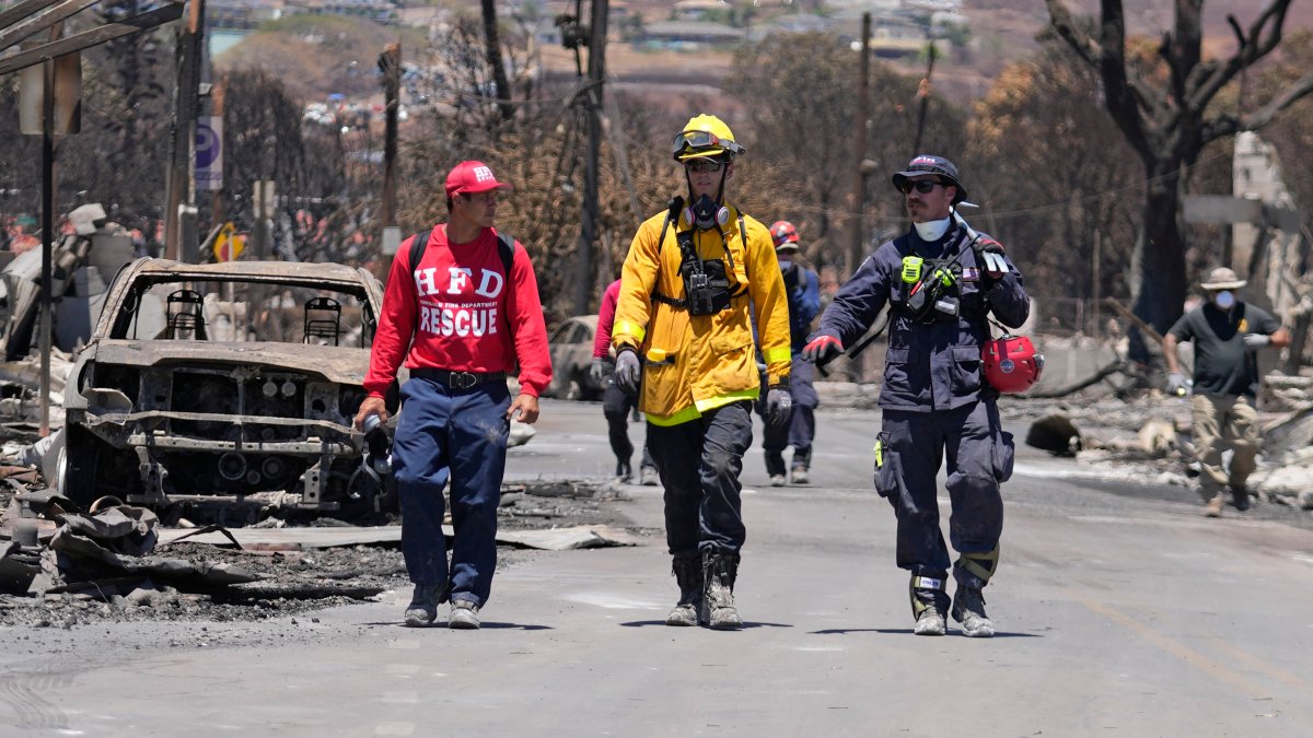Here's how authorities plan to identify the victims of Maui's wildfires – NBC 7 San Diego - Vimarsana News