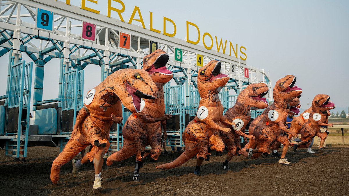 T-Rex's race to photo finish at Washington state track – NBC 7 San Diego - Vimarsana News