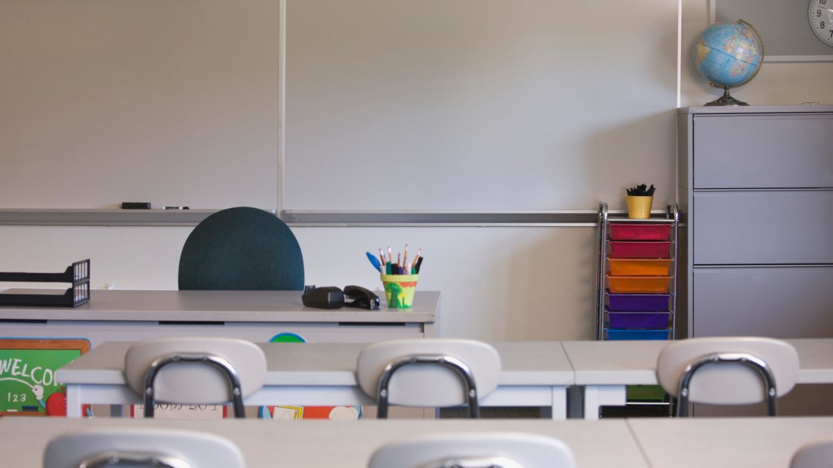 Georgia school district fires teacher for reading gender fluidity book to student – NBC 7 San Diego - Vimarsana News