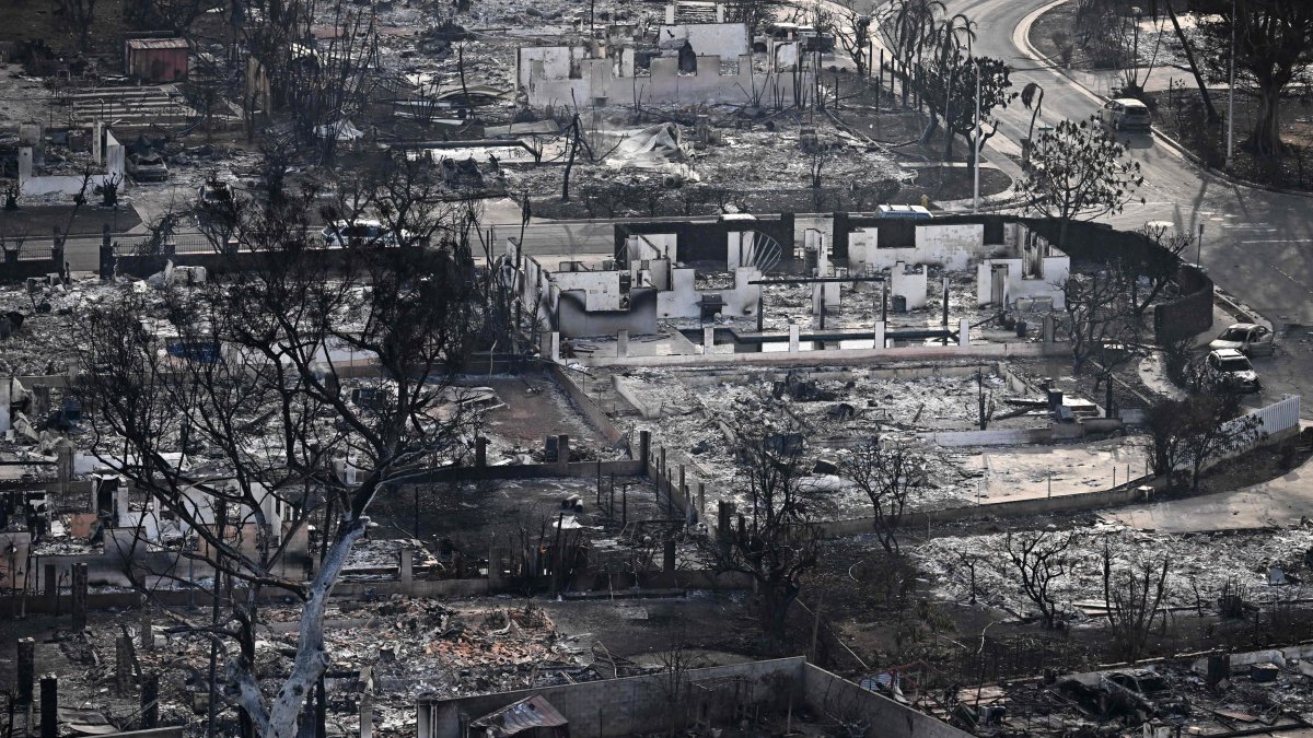 How San Diego can help those impacted by Maui wildfires – NBC 7 San Diego - Vimarsana News
