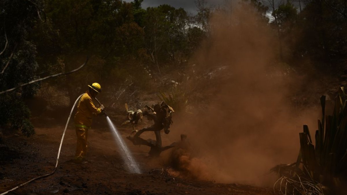 Bare electrical wire, leaning utility poles seen as possible cause of  deadly Maui fires