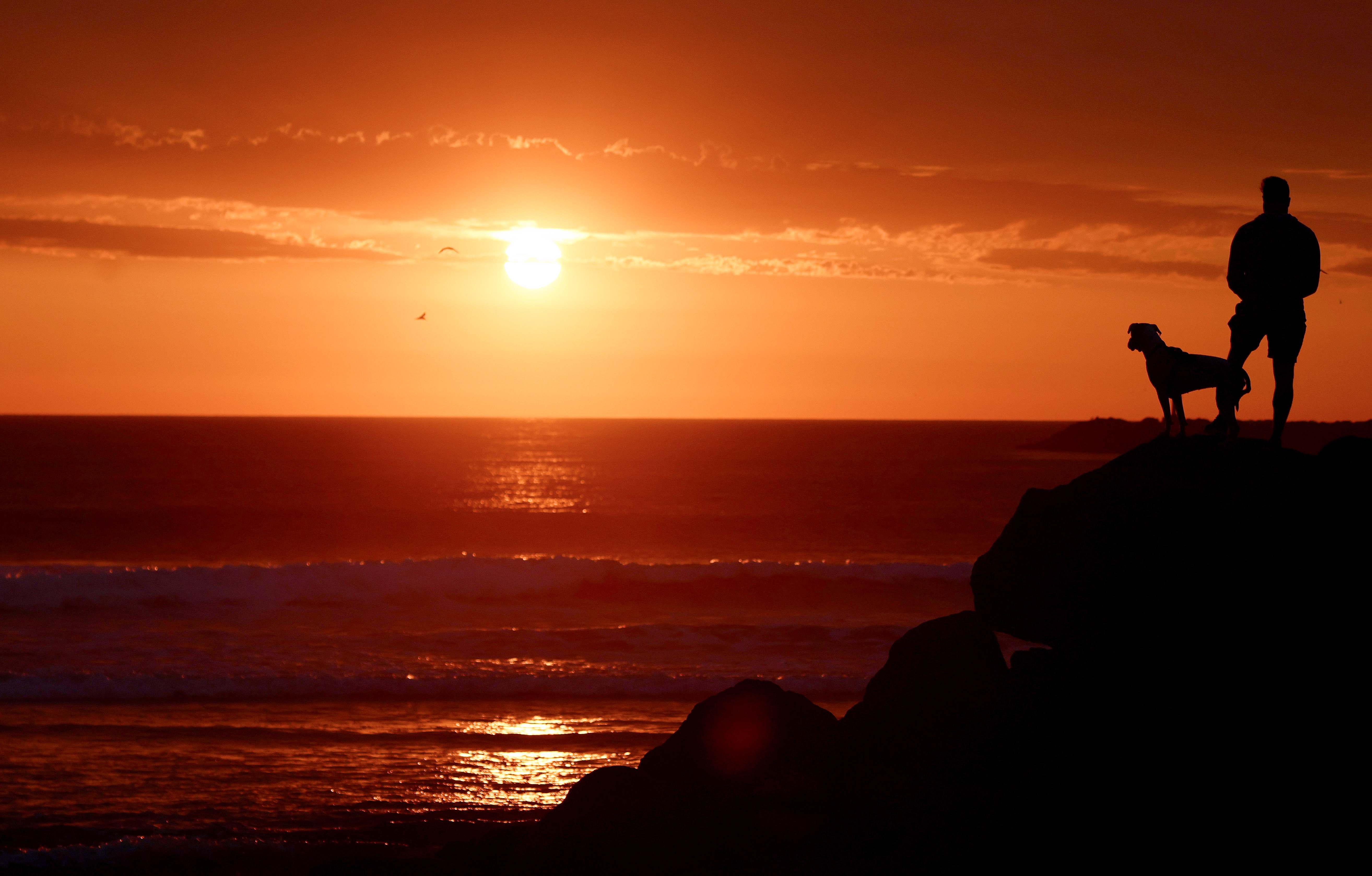 SAN DIEGO, CALIFORNIA – AUGUST 19: A person stands with a dog as the sun sets through clouds at Ocean Beach with Hurricane Hilary approaching on August 19, 2023 in San Diego, California. Southern California is under a first-ever tropical storm warning as Hurricane Hilary approaches with parts of California, Arizona and Nevada preparing for flooding and heavy rains. (Photo by Mario Tama/Getty Images)