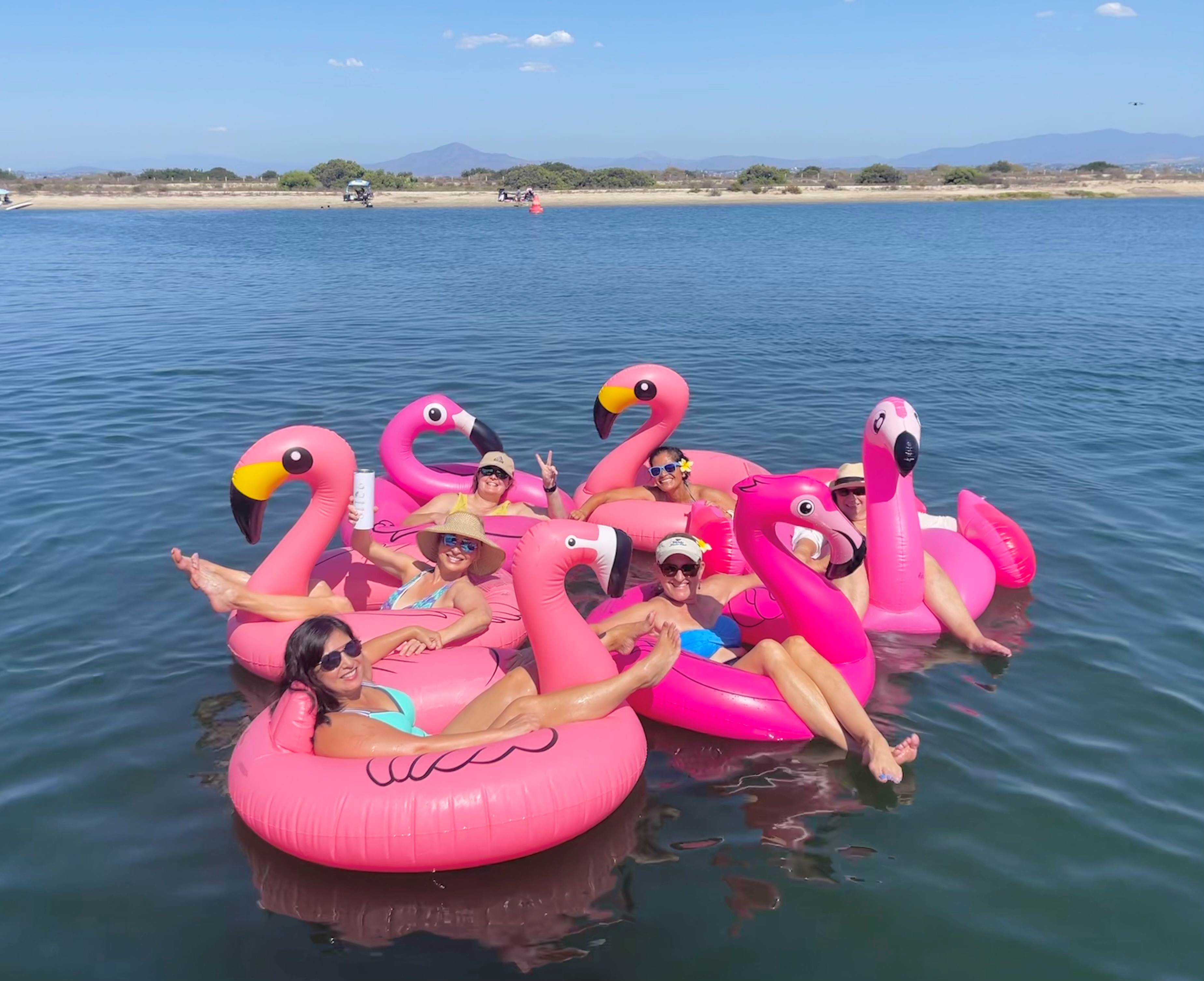 Celebrate Earth Month with Hot Pink Flamingos