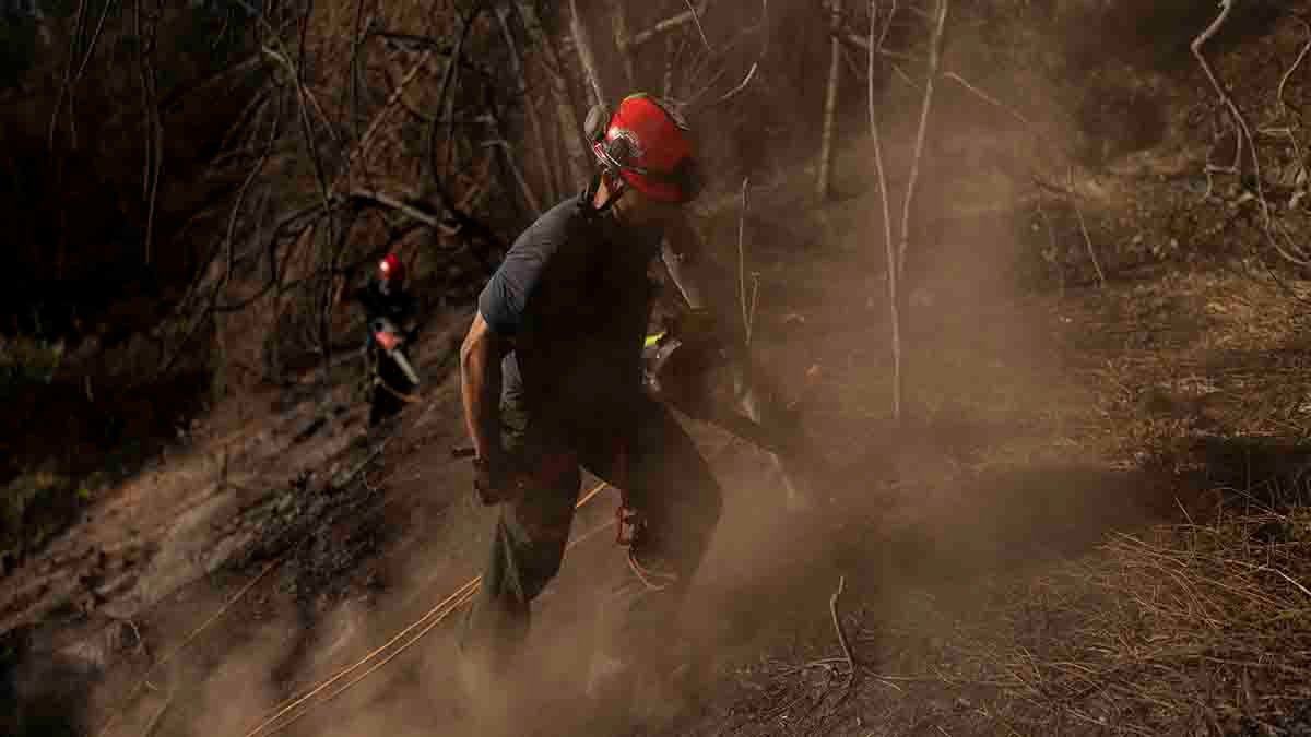 Maui wildfire survivors face power cuts and poor cell service amid ongoing search efforts – NBC 7 San Diego - Vimarsana News