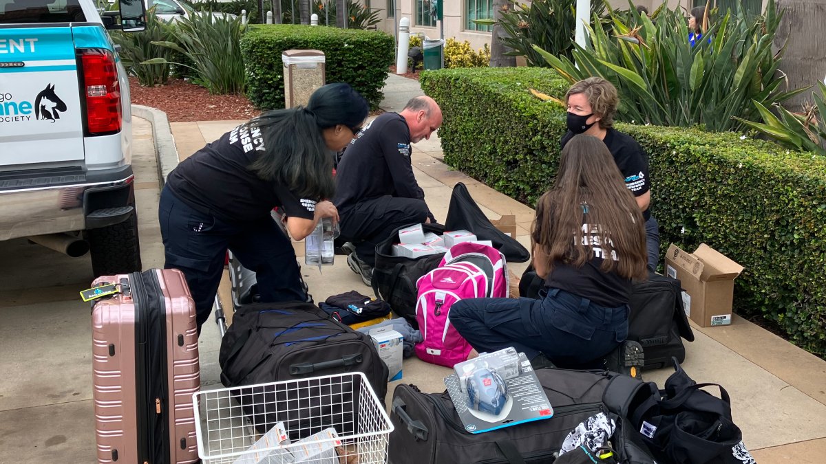 San Diego Humane Society team to deploy to Maui to assist in search and ...