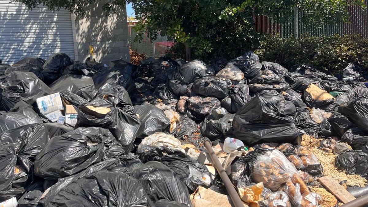There were rats': Stinky mountain of garbage behind bakery in 
