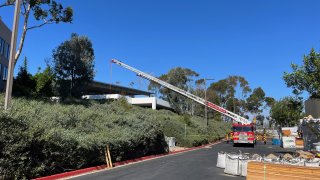 The San Diego Fire-Rescue Department responded and helped extract the body from the storm drain area. according to SDPD Lt. Jud Campbell.