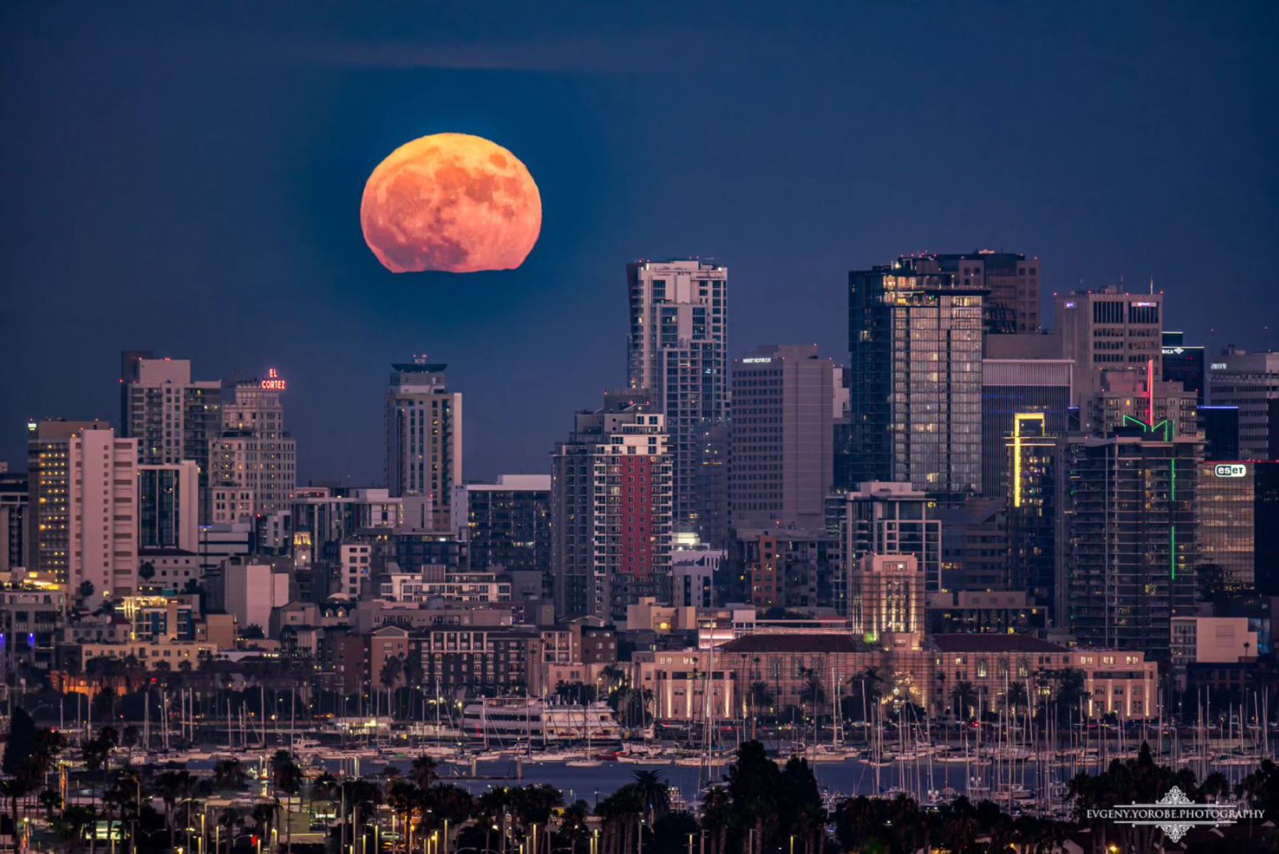 Una súper luna azul se asoma sobre el horizonte de San Diego el 30 de agosto de 2023.
