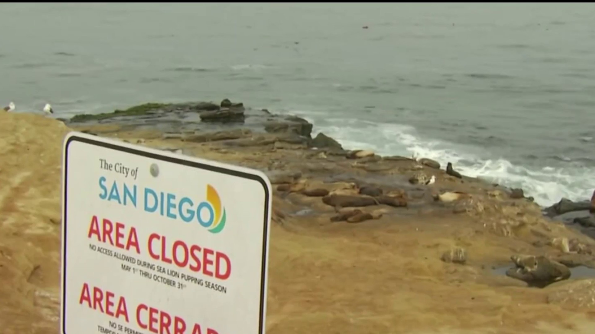 Year-round closure plan for Point La Jolla to proceed to full San Diego  council hearing - La Jolla Light