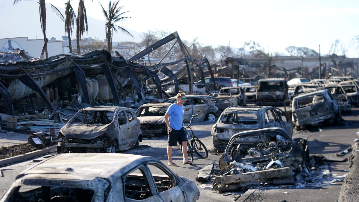 Maui wildfires death toll drops to 97 after DNA testing – NBC 7 San Diego - Vimarsana News