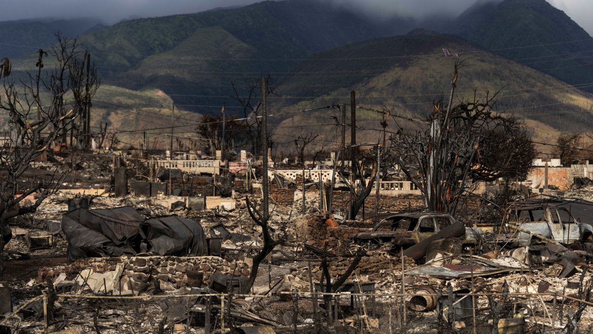 Hawaiian Electric at center of first congressional hearing on Maui wildfires – NBC 7 San Diego - Vimarsana News