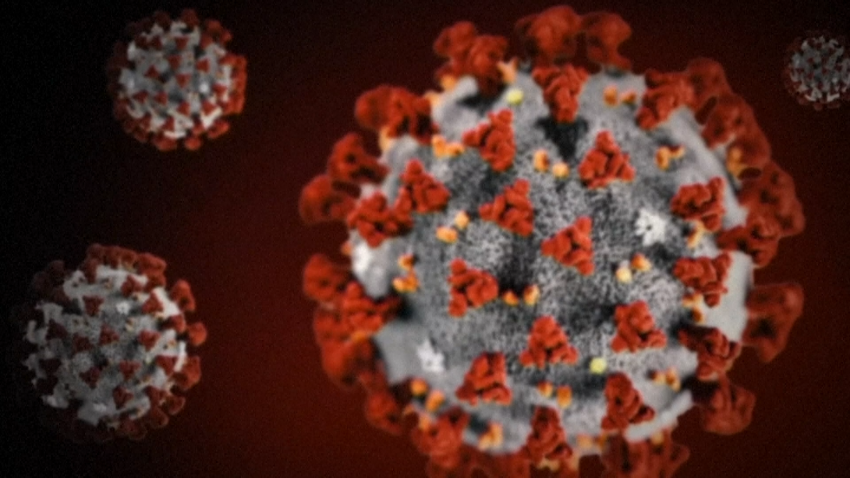 Study suggests blood test for long Covid is possible