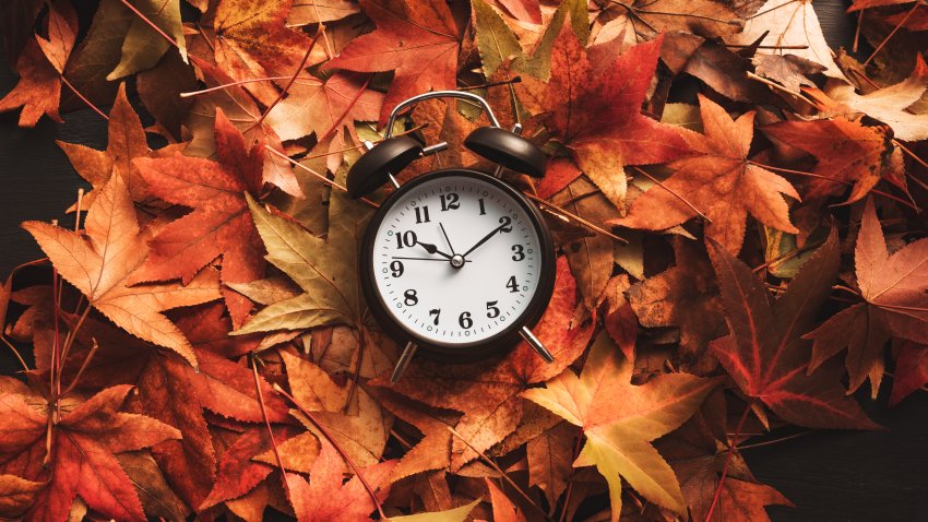 Autumn season time, retro vintage alarm clock in dry fall leaves – daylight saving time concept