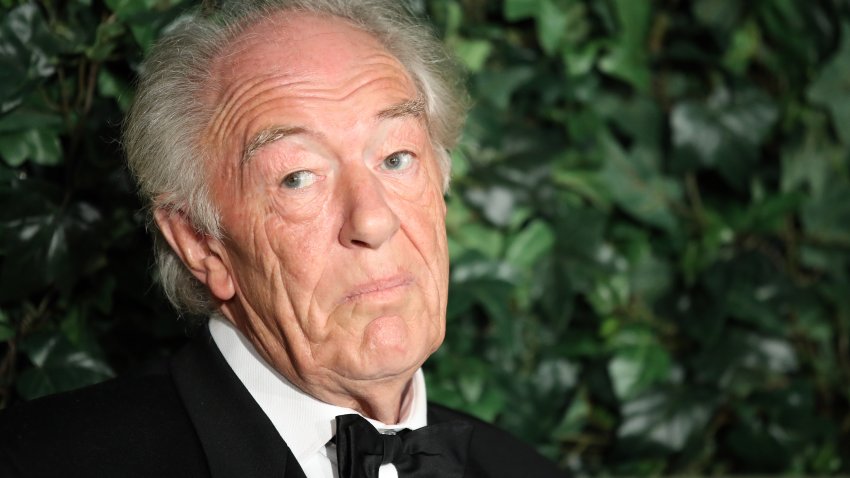 Michael Gambon attends The London Evening Standard Theatre Awards at The Old Vic Theatre on November 13, 2016 in London, England.