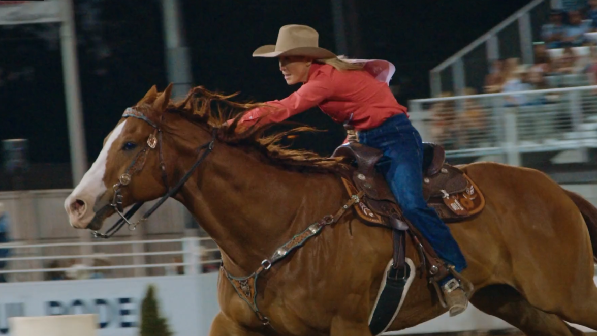 Can I get a yeehaw? San Diego Petco Park to hold its first ever rodeo ...