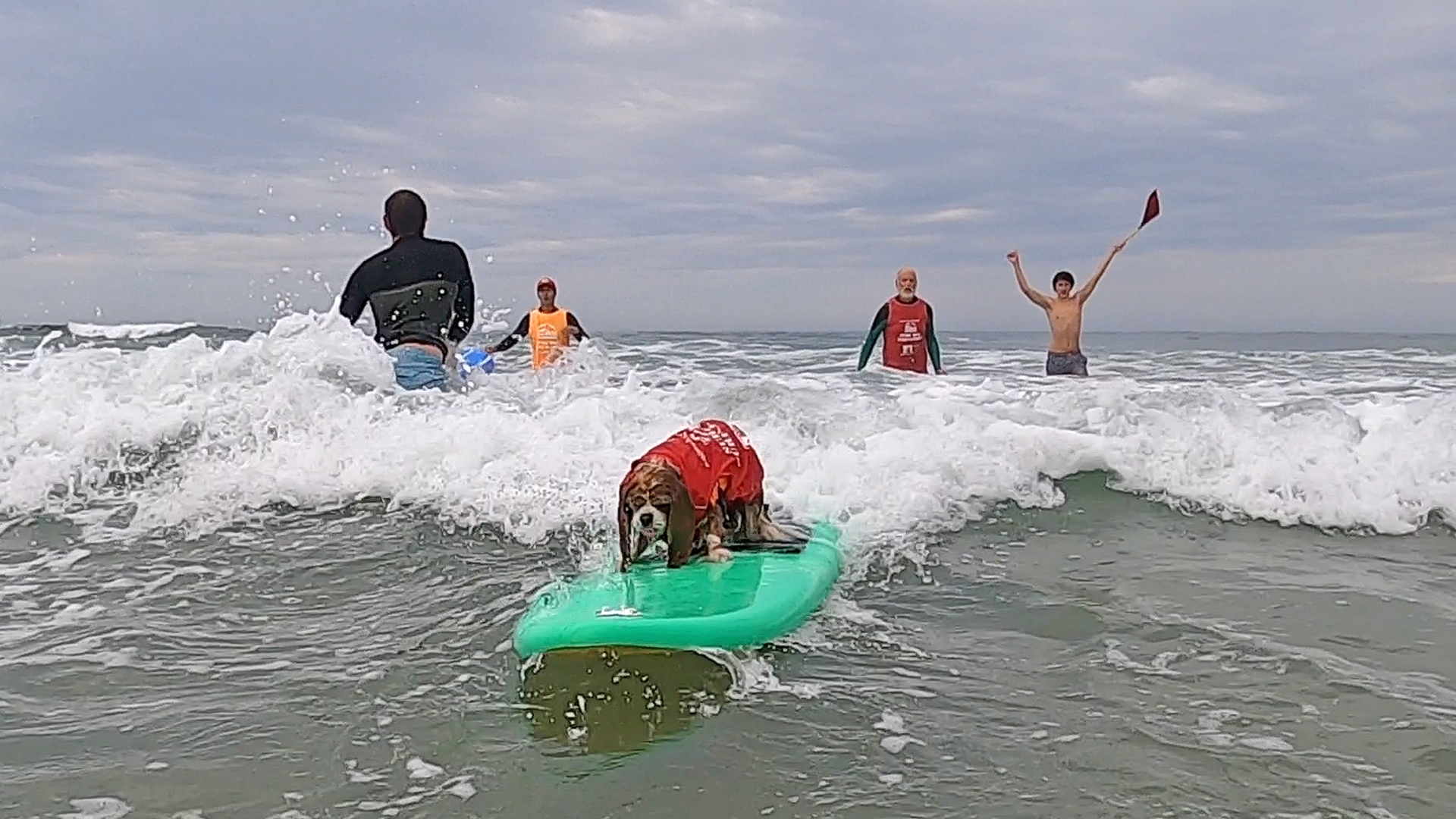 Delilah, 2nd-place winner for Best in Surf.