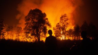 In this photo taken on Oct. 10, 2023, a man looks at a forest fire as it approaches houses in Ogan Ilir, South Sumatra in Indonesia.