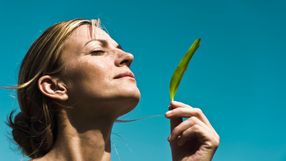 Longevity doctor says this is the No. 1 supplement he takes every day to 'slow down aging'—you 'may not have heard of it' – NBC 7 San Diego - Vimarsana News