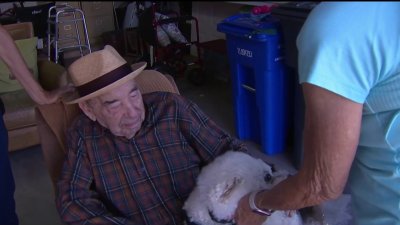 Carlsbad community surprises 92-year-old grandpa who lost his dog with puppy party