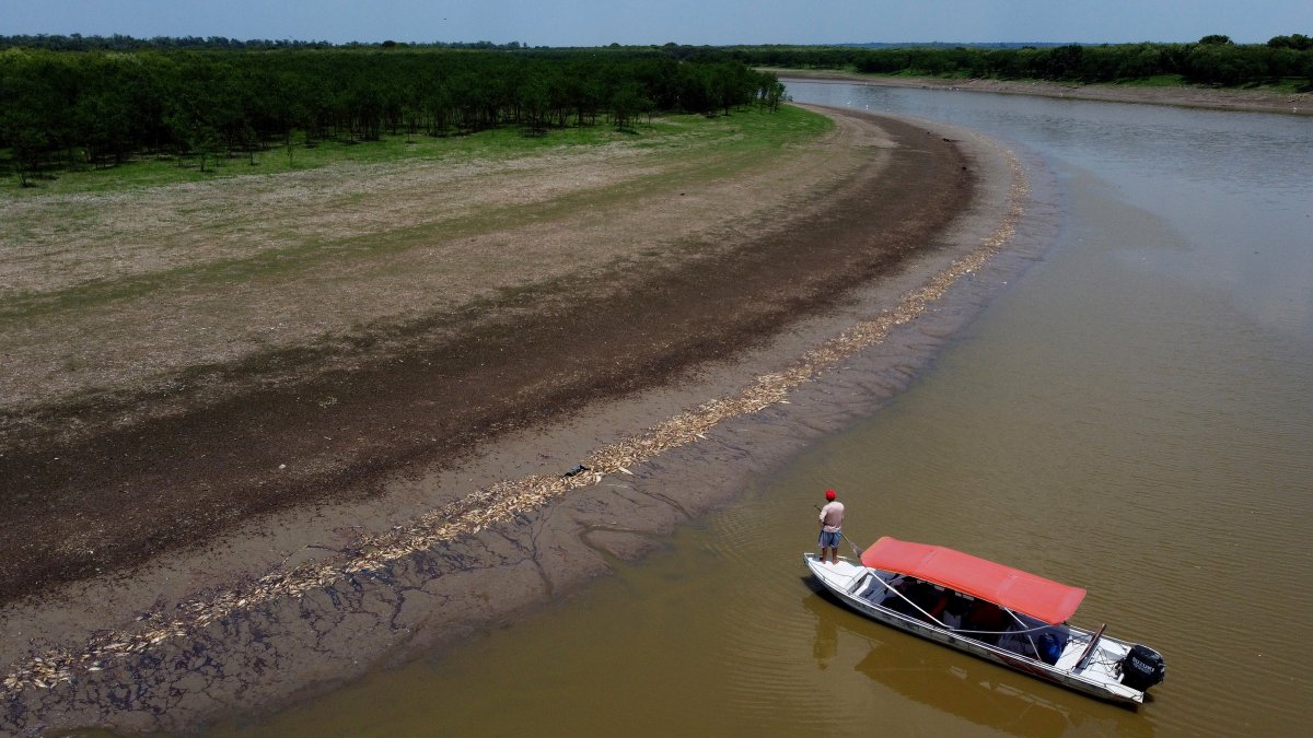 Brazil's Amazon faces drought and high water temperatures, causing more than 100 dolphins to die – NBC 7 San Diego - Vimarsana News