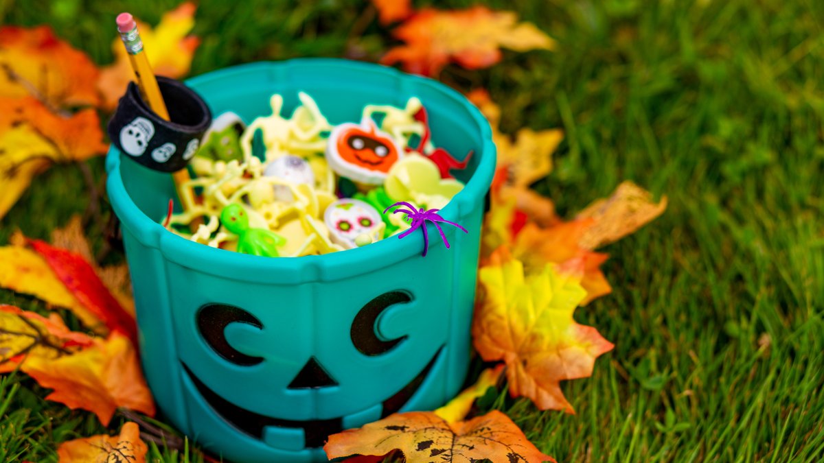 Why the Teal Pumpkin Project matters and how to participate – NBC 7 San Diego - Vimarsana News