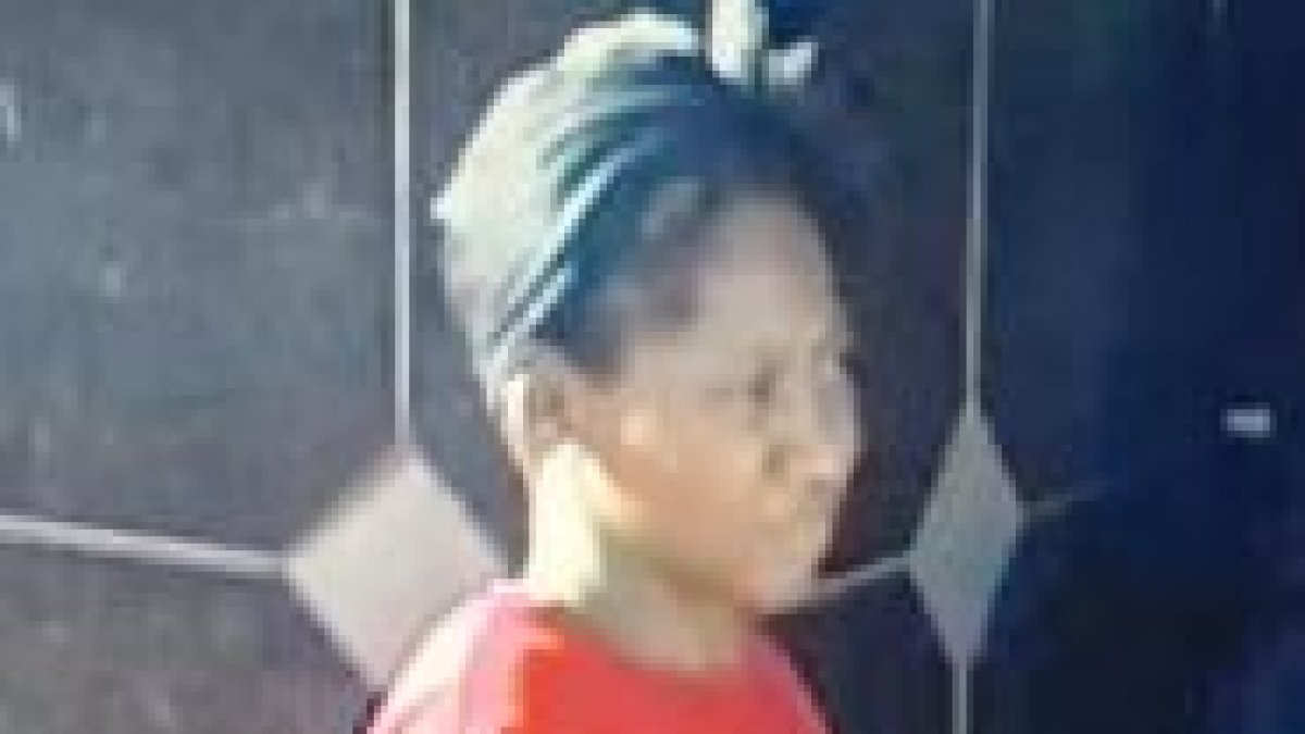 Photos of woman wanted in La Jolla Trolley slashing are released by law enforcement - Vimarsana News