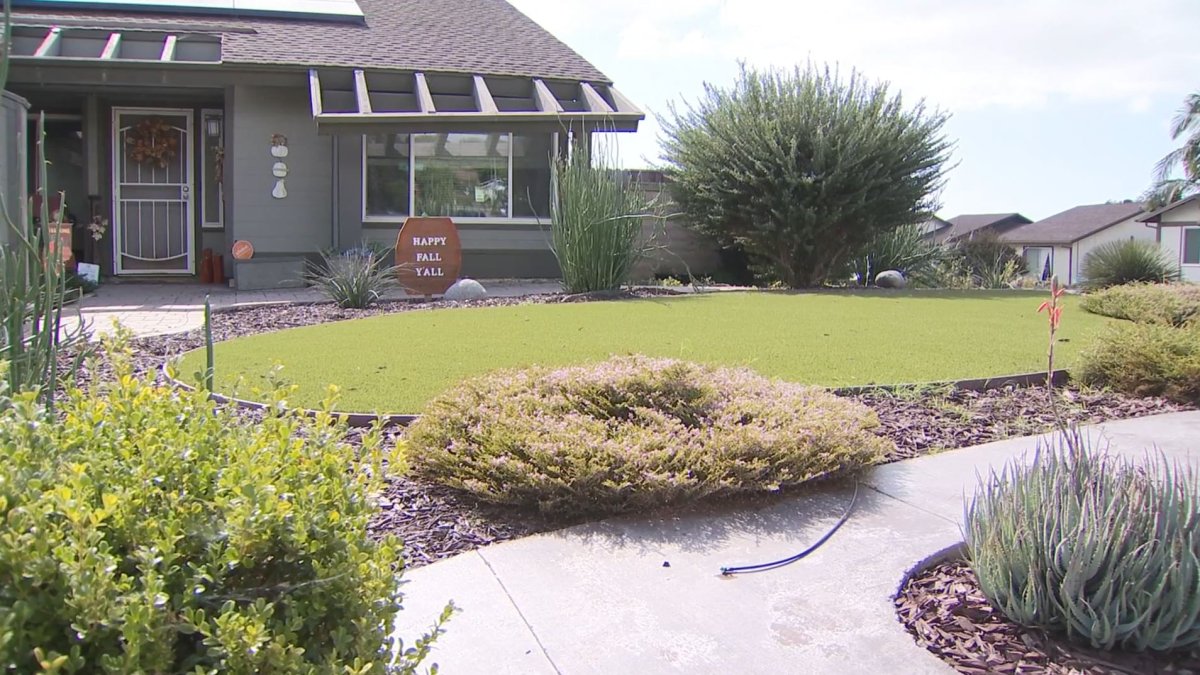 New Law Allows Cities To Ban Artificial Turf