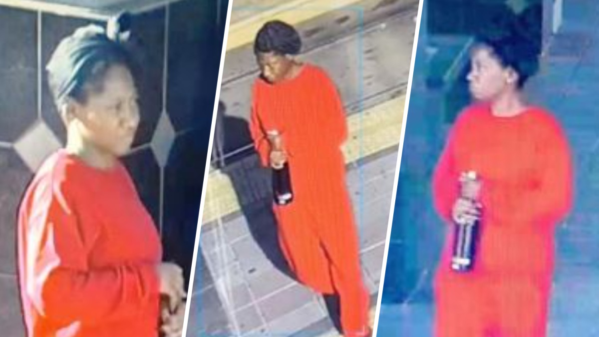 La Jolla trolley slasher draws long prison term – NBC 7 San Diego - Vimarsana News