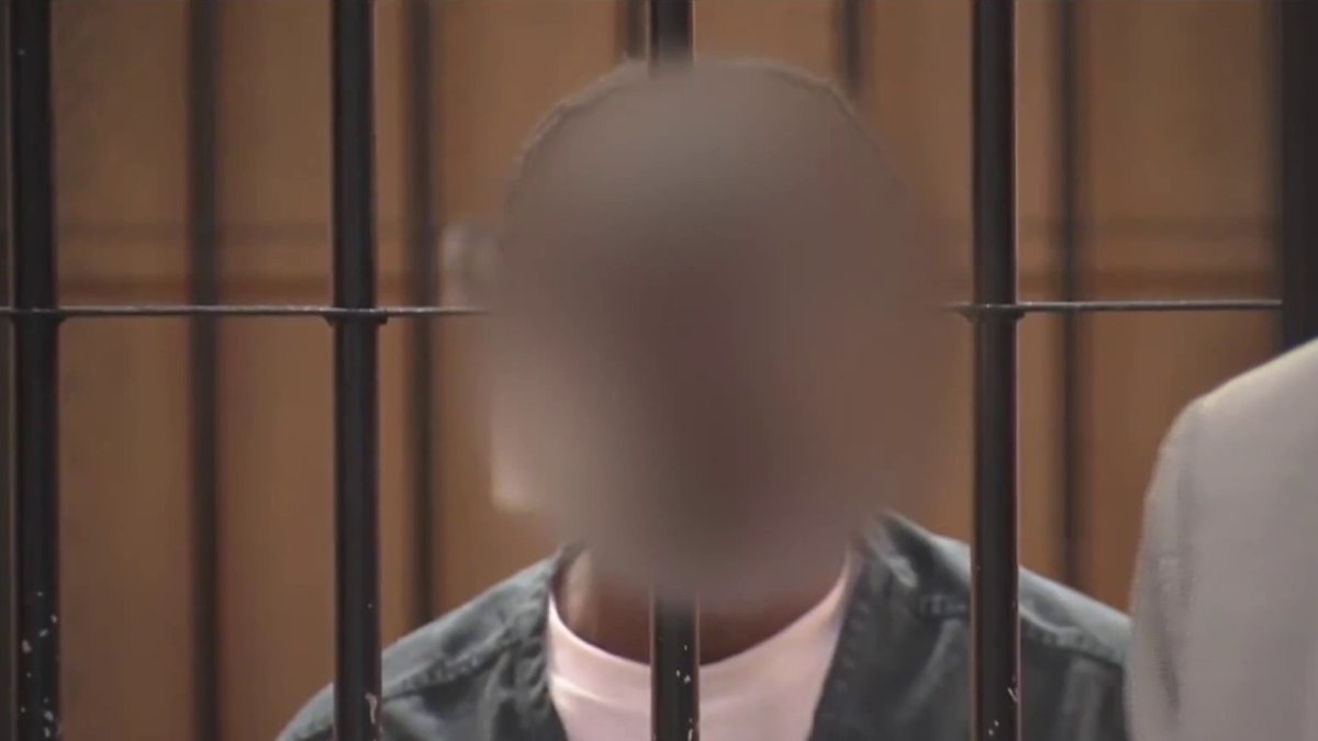 Hit-and-run driver pleads not guilty in Thanksgiving crash that killed ...