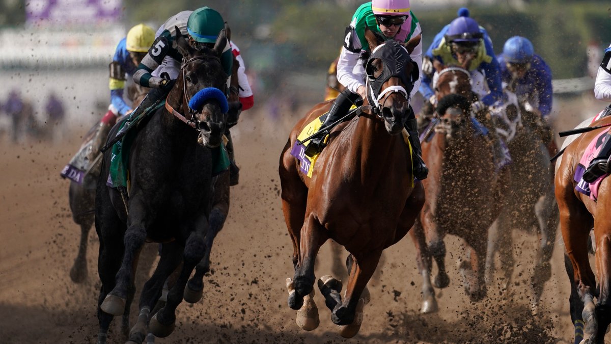 Breeders’ Cup 2025 to be hosted in Del Mar NBC 7 San Diego