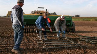 Jose Vasquez, left, Gayle Goschie, center, and Eloy Luevanos work to set up a harrow to be pulled behind a grain hopper