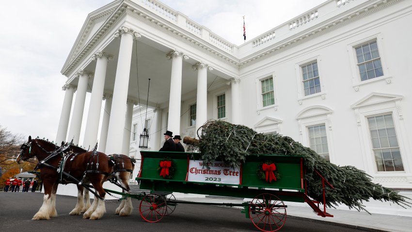 First lady Jill Biden welcomes the official 2023 White House Christmas Tree at the White House on November 20, 2023 in Washington, DC. (Photo by Anna Moneymaker/Getty Images)