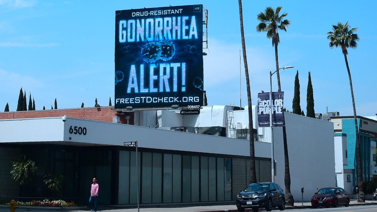 New antibiotic shows promise for drug-resistant gonorrhea – NBC 7 San Diego - Vimarsana News
