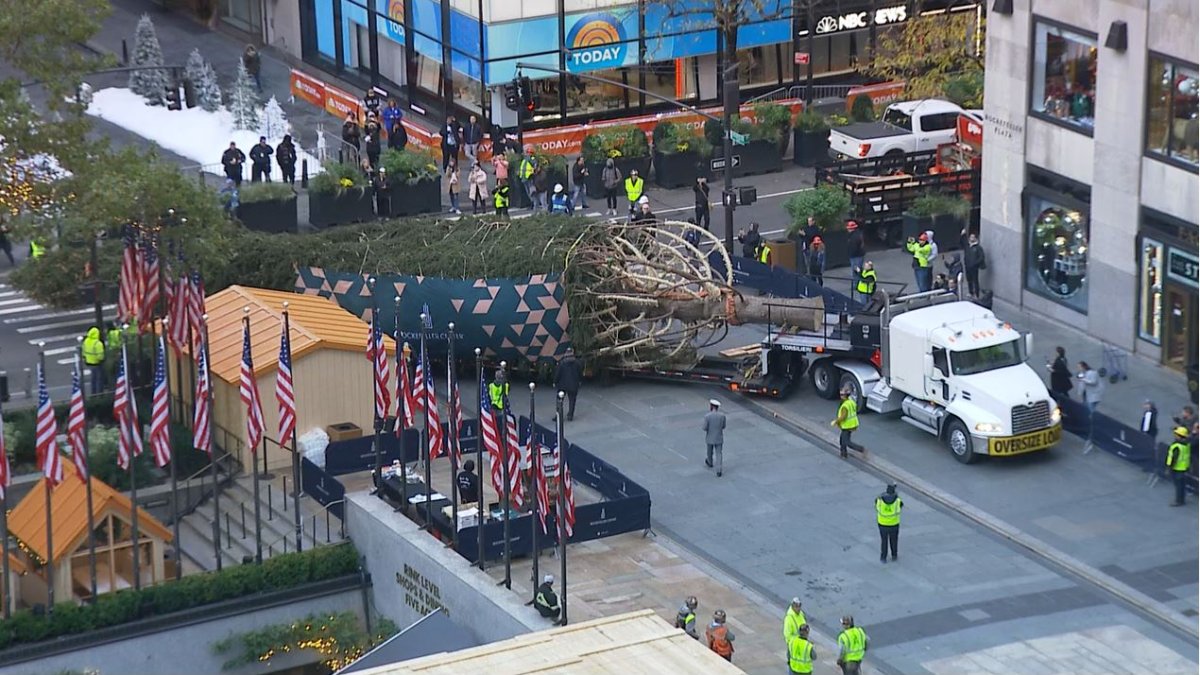 Rockefeller Center Christmas Tree arrives in New York City NBC 7 San