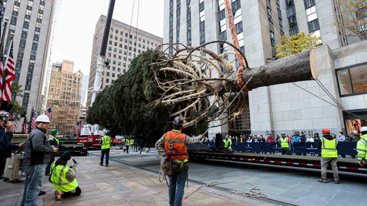 Rockefeller Center Christmas tree: What to know – NBC 7 San Diego - Vimarsana News