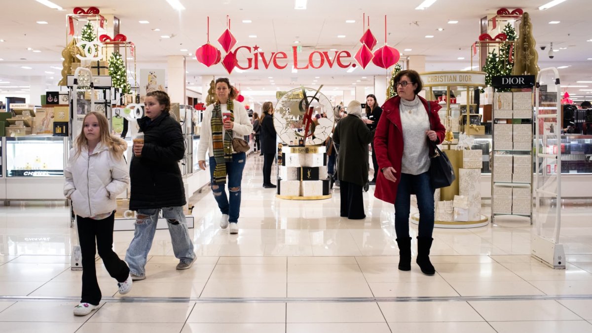 Three reasons a strong Black Friday weekend may not mean a blowout holiday season for retailers - Vimarsana News