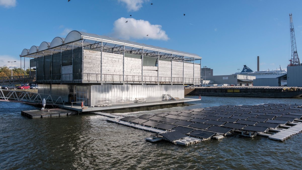 Farms on water may be a more popular option for agriculture in the future – NBC 7 San Diego - Vimarsana News