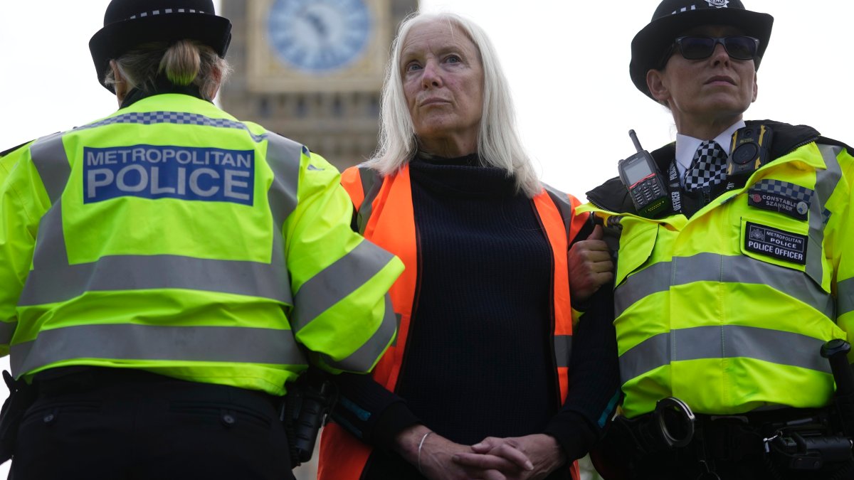 British law allows for the arrest of protesters in certain situations – NBC 7 San Diego - Vimarsana News