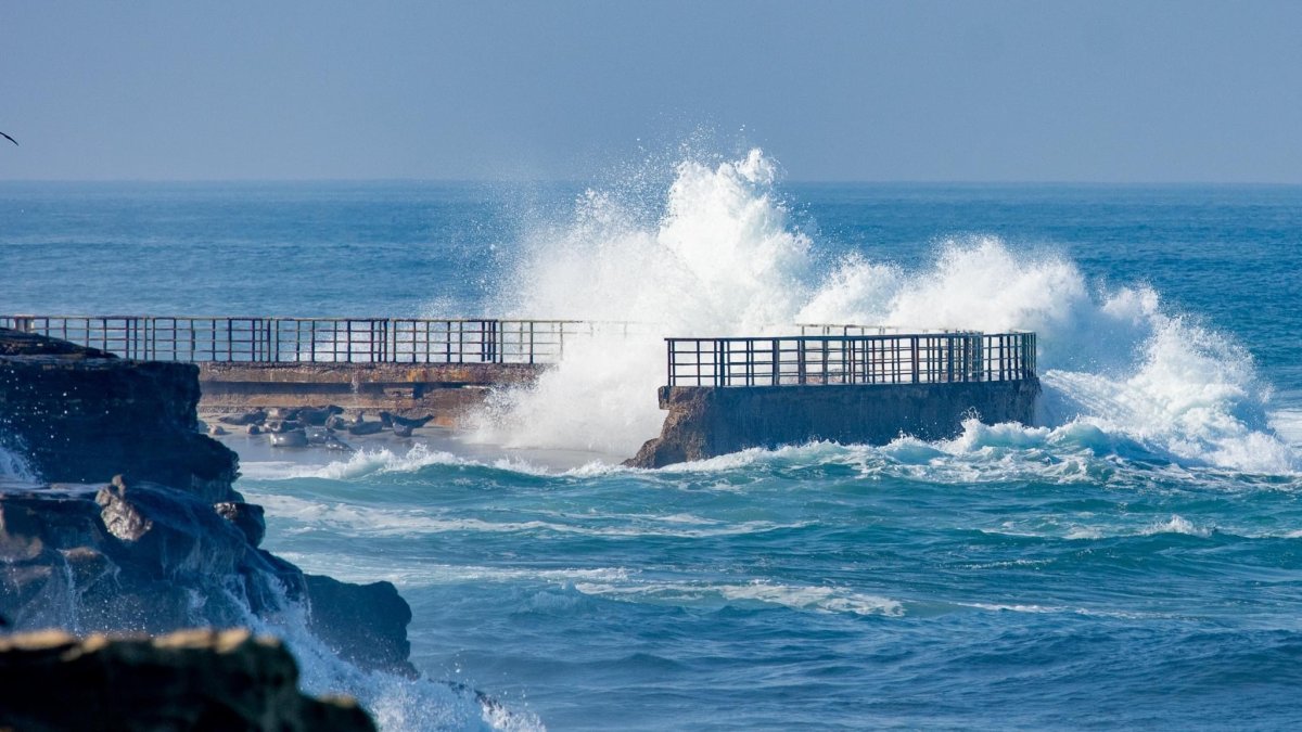 Things to do this weekend in San Diego from April 5 to 7 – NBC 7 San Diego - Vimarsana News