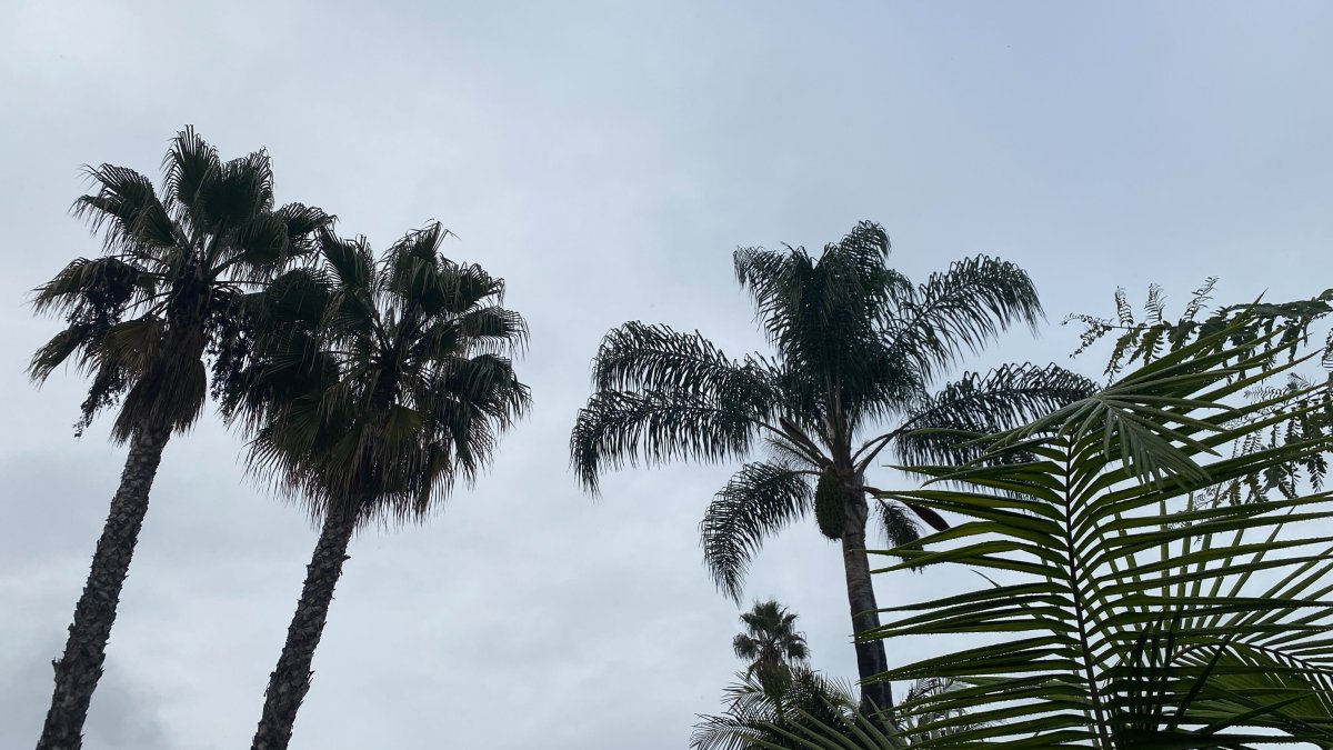 Rainy Midweek, Sunny Weekend: San Diego’s Complete Weather Breakdown