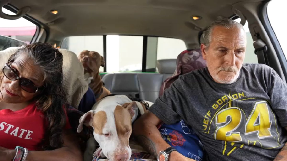 'Food, medicine or a roof': Tough choices, harsh living face seniors living on San Diego streets – NBC 7 San Diego - Vimarsana News