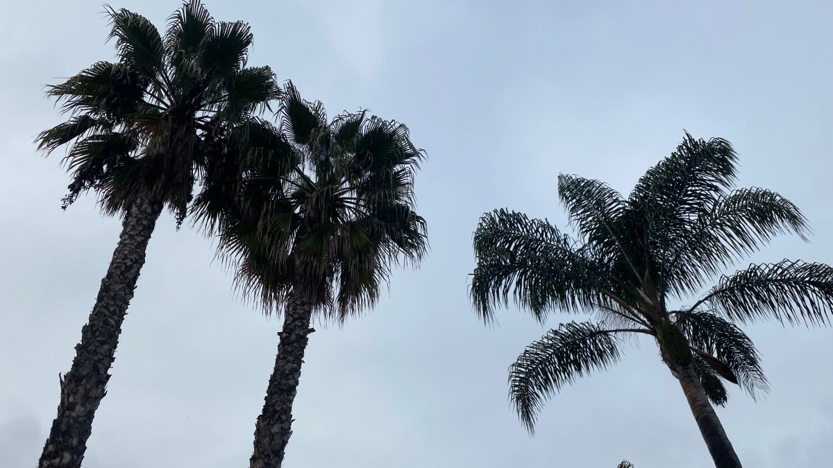 San Diego County weather today: Rain to ring in 2024 over New Year's Eve weekend – NBC 7 San Diego - Vimarsana News