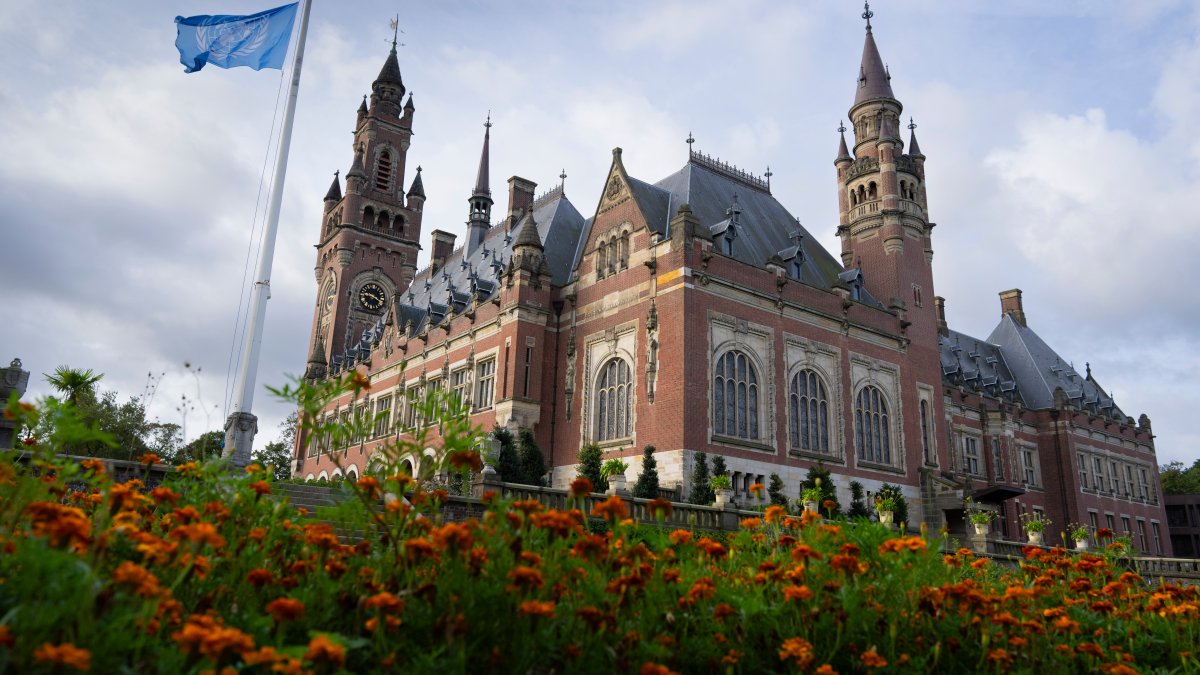 UN court set to issue ruling in South Africa genocide case against Israel – NBC 7 San Diego - Vimarsana News