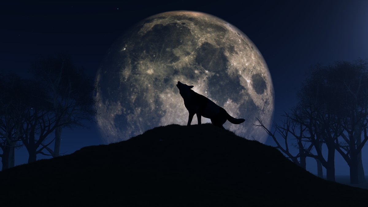 How to see the Full Wolf Moon on Thursday – NBC 7 San Diego - Vimarsana News