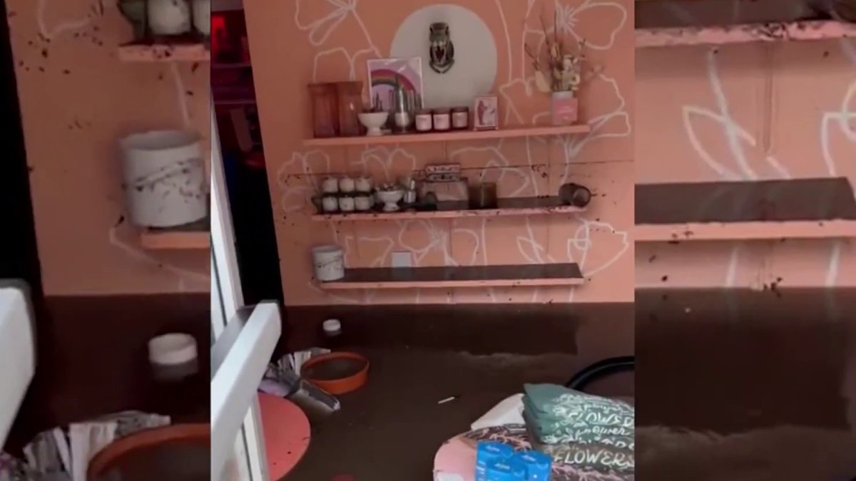 Storm destroys warehouse of Native Poppy, San Diego floral shop – NBC 7 San Diego - Vimarsana News