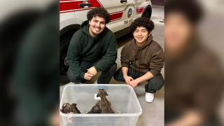 Two young men who helped save six abandoned puppies.