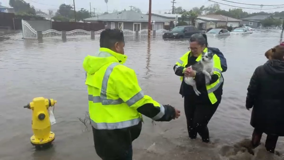 San Diego rain prompts flooded roads, water rescues and crashes in San Diego – NBC 7 San Diego - Vimarsana News